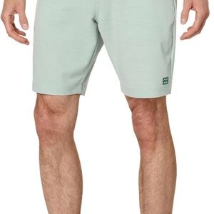 Billabong Men’s Crossfire Submersible Mid Length Mint Green/Gray Shorts
